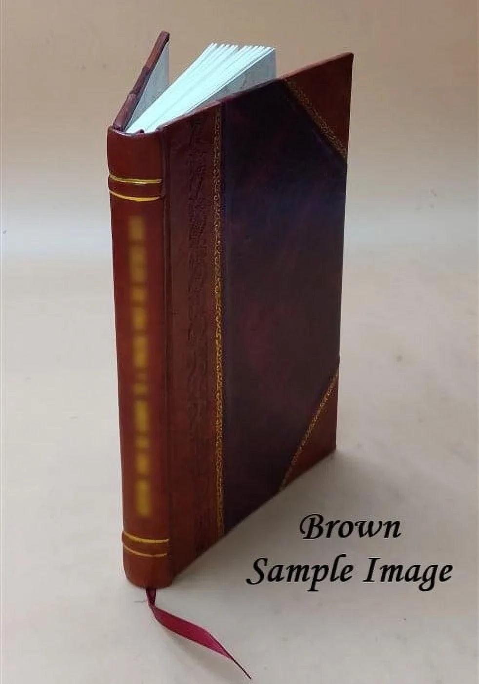 Sull'opportunità e strade ferrate nello Stato Pontificio e sui modi per adottarle: riflessioni 1846 [Leather Bound]