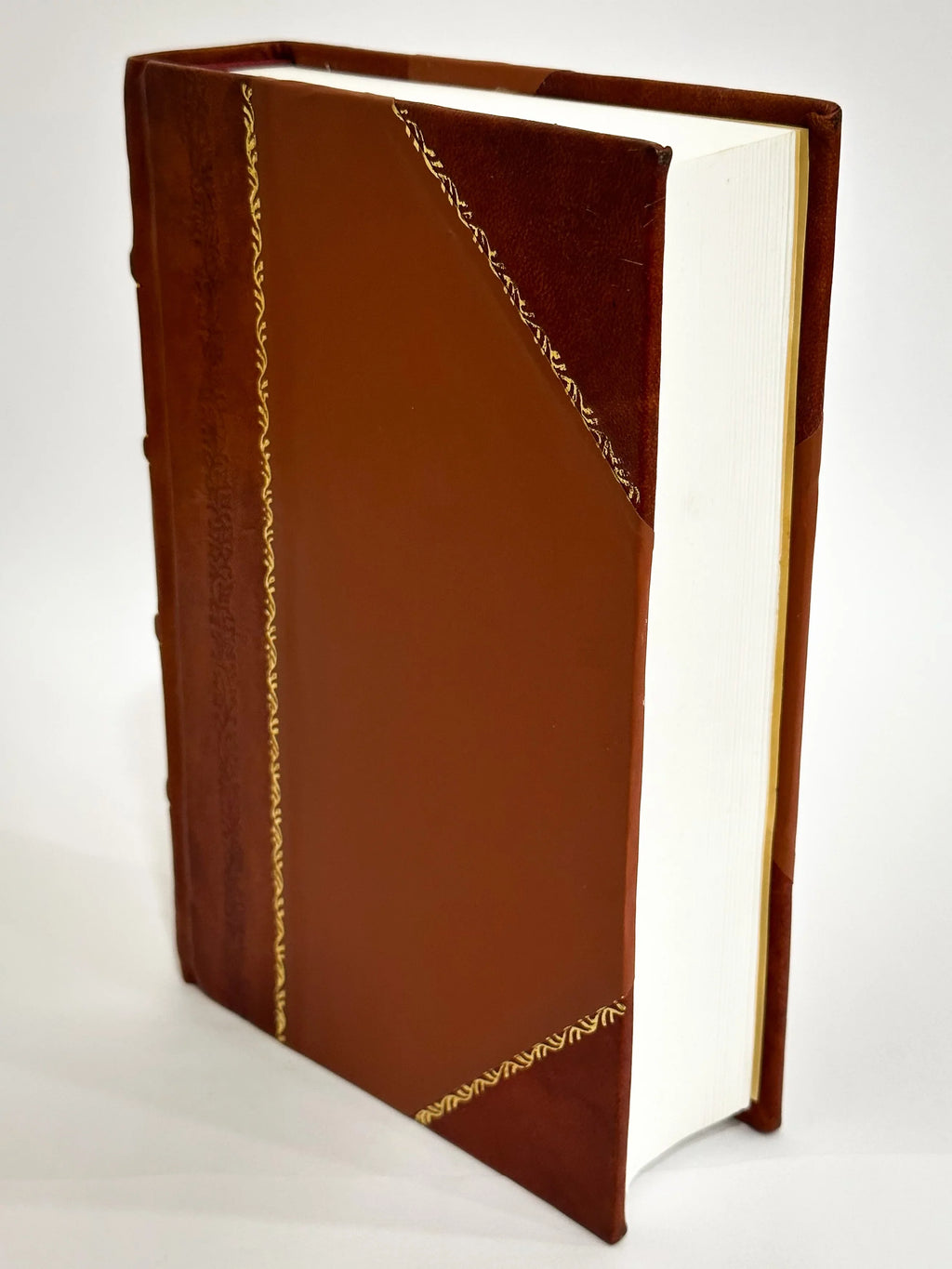 Accurata, E Succinta Descrizione Topografica e Antichita Di Roma / Venuti, Ridolfino (1824) (1824) [Leather Bound]