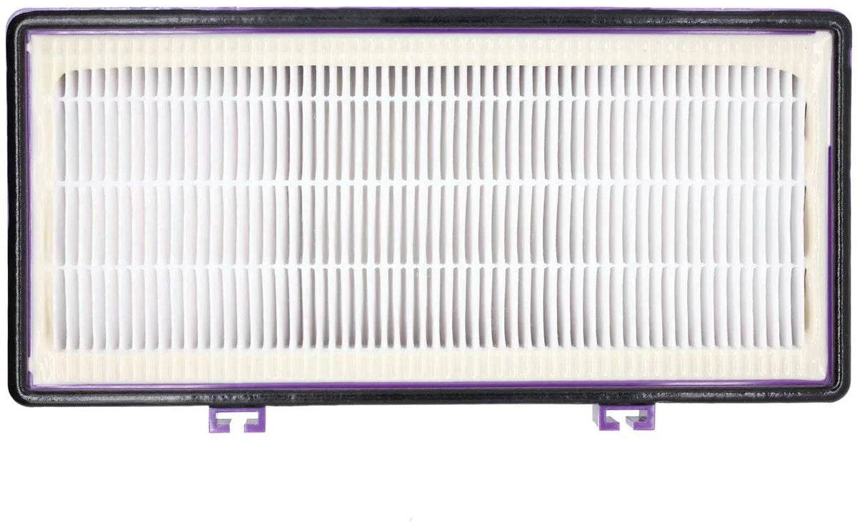 HEPA D Filter for Holmes AER1 HAPF300/HAP30 (4 Pack + 8 Pre-Carbon Sheet)
