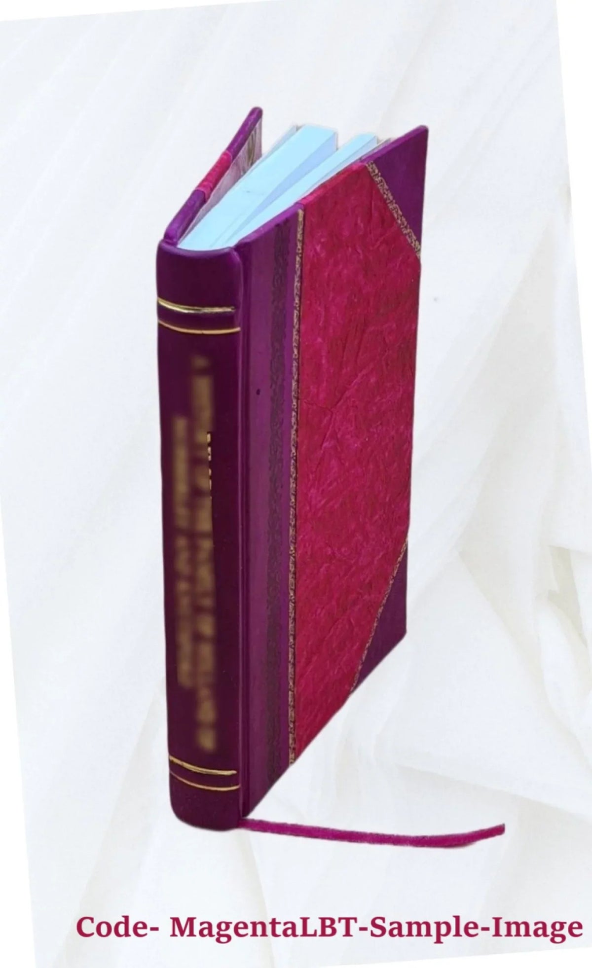 De bello italico adversus gothos, etc. [Leather Bound]