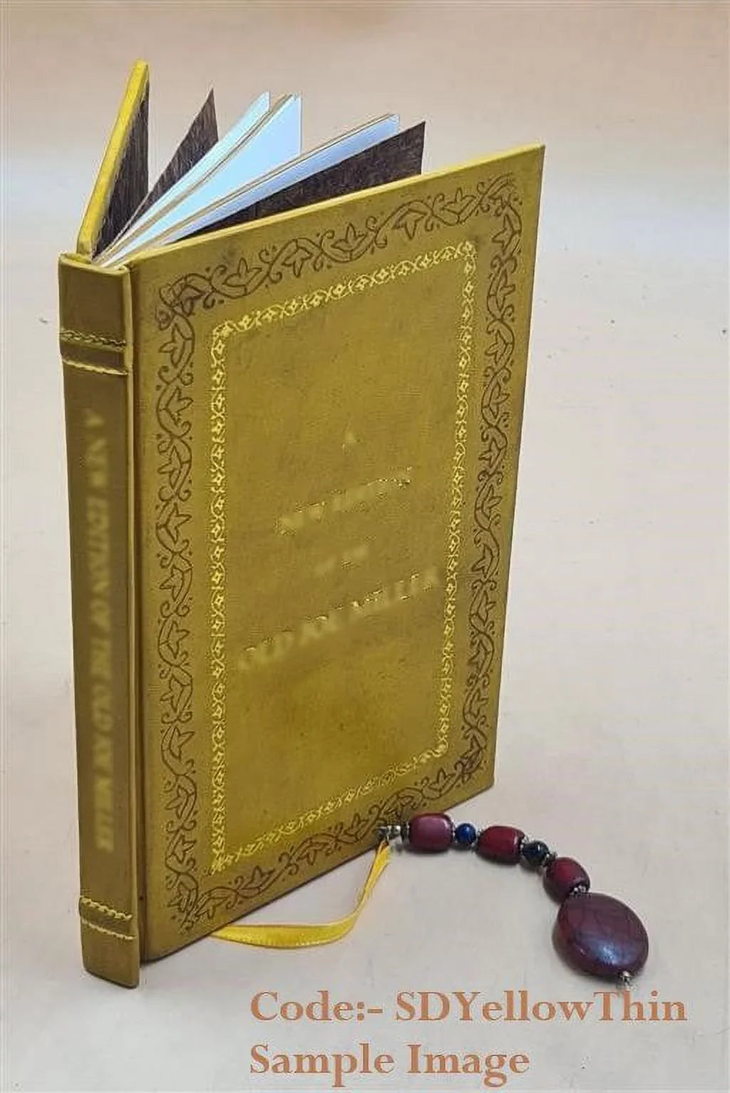 Studio e virtuose dame Doue si vedono bellissimi lauori di punto in aria 1597 [Premium Leather Bound]