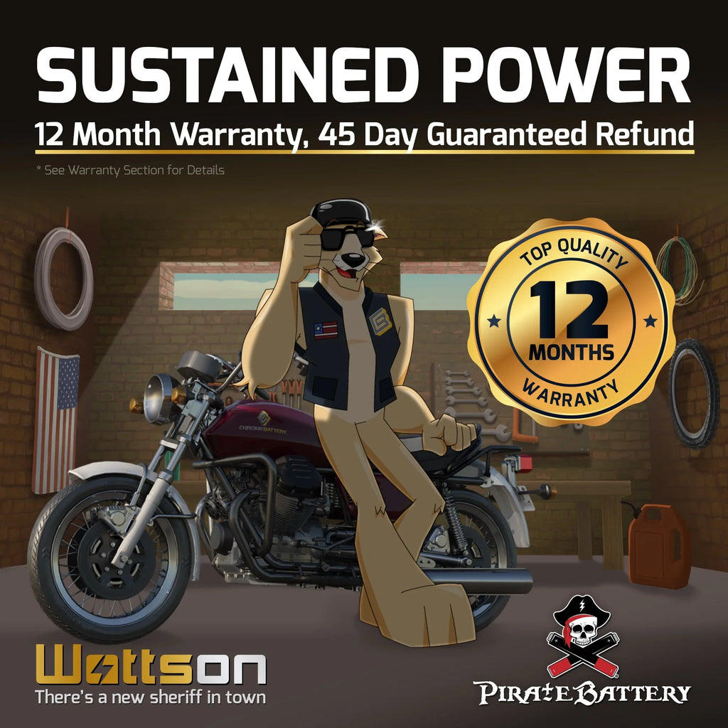 Pirate Battery YTX14-BS (14-BS 12 Volt,12 Ah, 200 CCA) Motorcycle Battery for Honda 1100cc Vt1100c, C3, T Shadow (spirit, Aero, A. C. E. Tourer) 2005