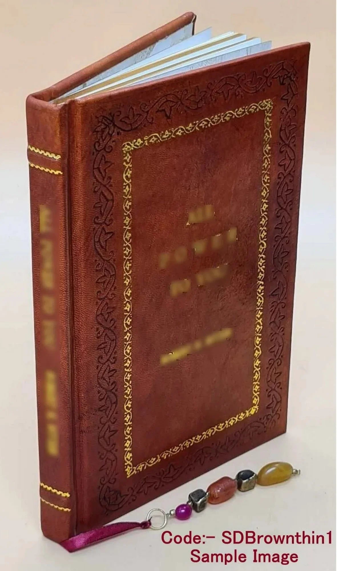 Studio e virtuose dame Doue si vedono bellissimi lauori di punto in aria 1597 [Premium Leather Bound]
