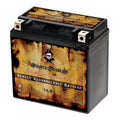 Pirate Battery YTX14-BS (14-BS 12 Volt,12 Ah, 200 CCA) Motorcycle Battery for Honda 1100cc Vt1100c, C3, T Shadow (spirit, Aero, A. C. E. Tourer) 2005