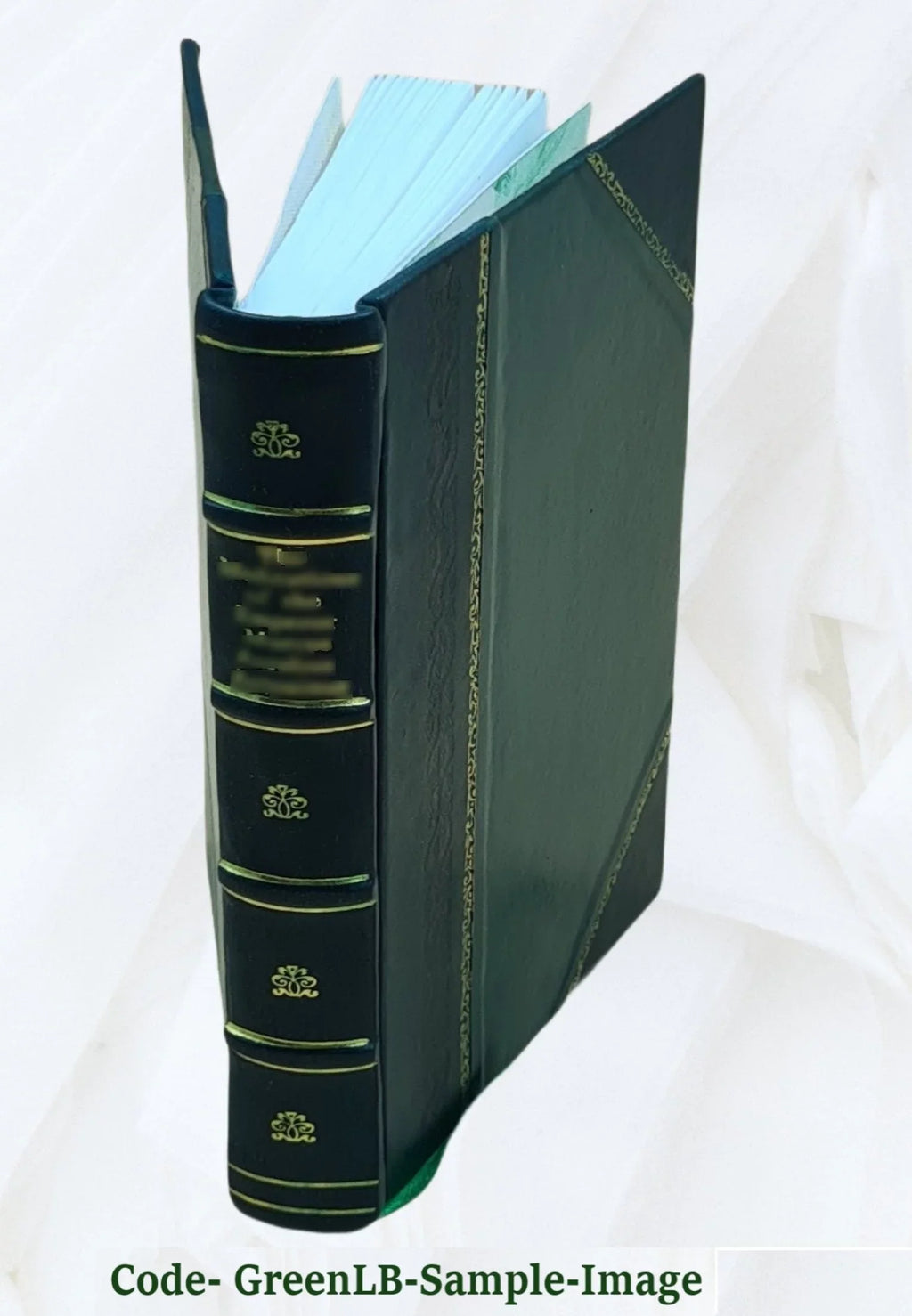 Aerodynamics: Constituting the First Volume of a Complete Work on Aerial Flight 1908 [Leather Bound]