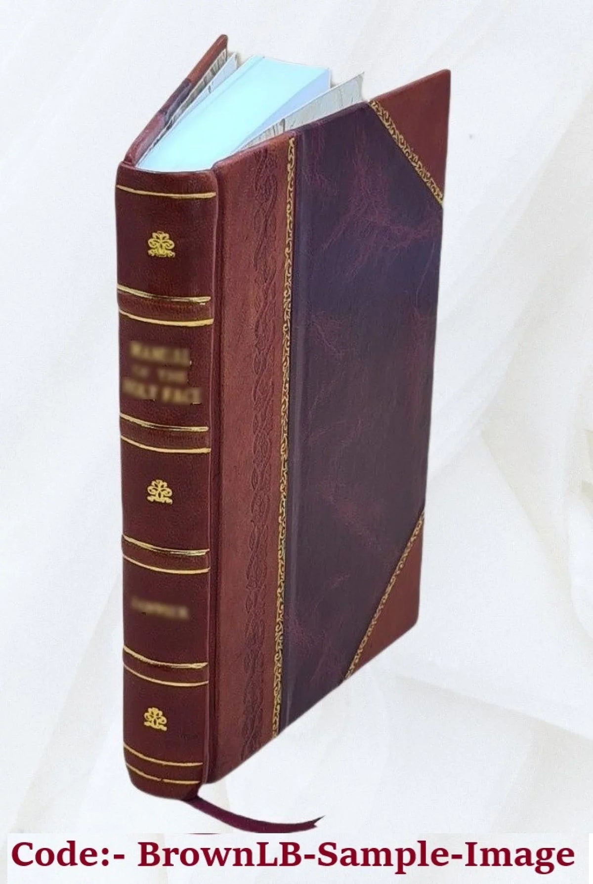 Guidi Panziroli ... De claris legum Interpretibus libri quatuor / Octavii Panjiroli auctoris ex fratre nepotis ... in lucem editi ... 1637 [Leather Bound]
